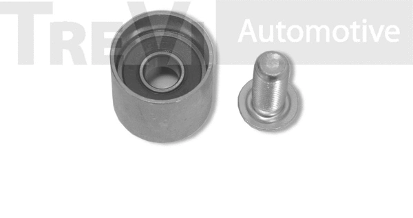 Poulie renvoi/transmission, courroie crantée TREVI AUTOMOTIVE TD1410