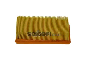 Filtre à air FRAM CA4556
