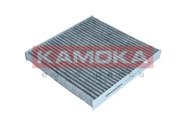Filtre, air de l'habitacle KAMOKA F520501