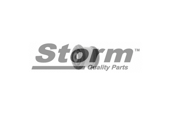 Suspension, corps de l'essieu STORM QUALITY PARTS F2289
