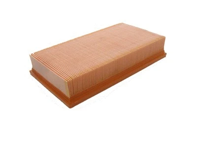 Filtre à air AVS AUTOPARTS P218