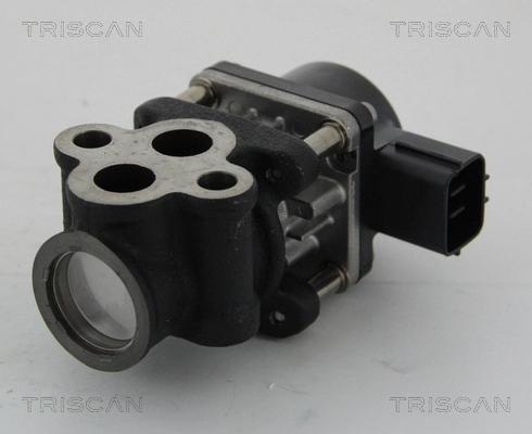 Vanne EGR TRISCAN 8813 24033