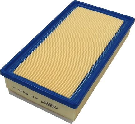 Filtre à air GOODWILL AG 891