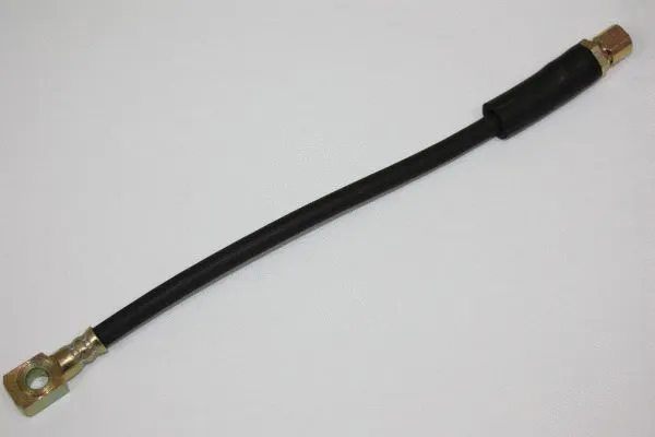 Flexible de frein AUTOMEGA 120078910