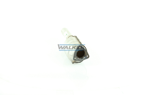Catalyseur WALKER 15737