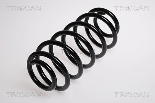 Ressort de suspension TRISCAN 8750 13106