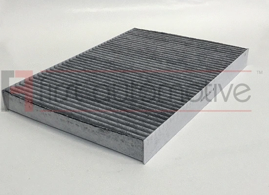 Filtre, air de l'habitacle 1A FIRST AUTOMOTIVE K30490