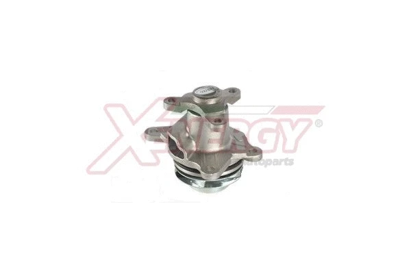 Pompe à eau, refroidissement du moteur AP XENERGY X207582