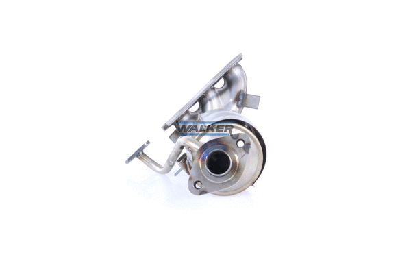 Catalyseur WALKER 28759