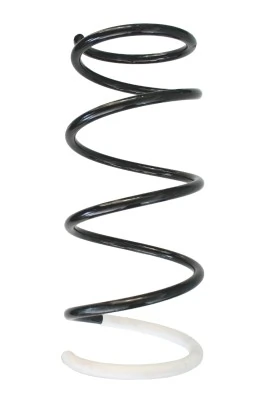 Ressort de suspension SPIDAN 87806