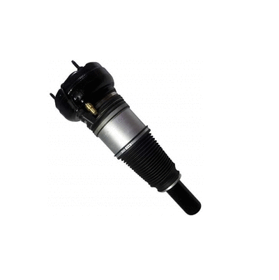 Armortisseur pneumatique MTR 12127069