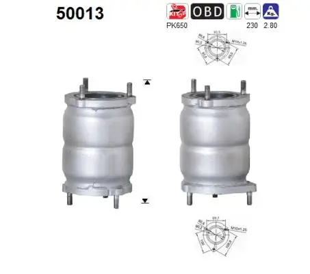 Catalyseur AS 50013