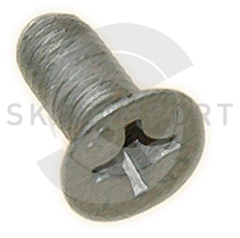 Vis, disque de frein SKANIMPORT 04.8301
