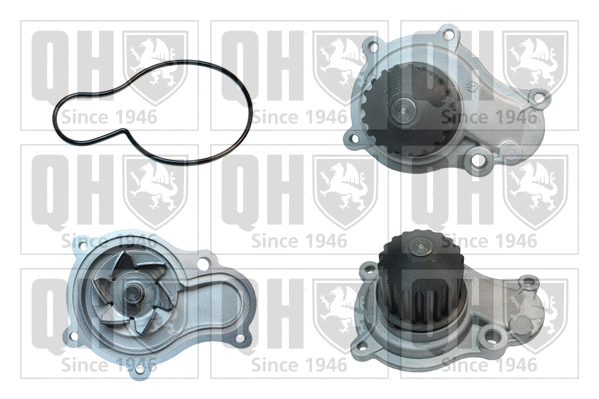 Pompe à eau, refroidissement du moteur QUINTON HAZELL QCP3795