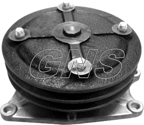 Pompe à eau, refroidissement du moteur GNS YH-M167
