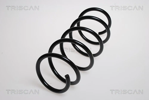 Ressort de suspension TRISCAN 8750 15137