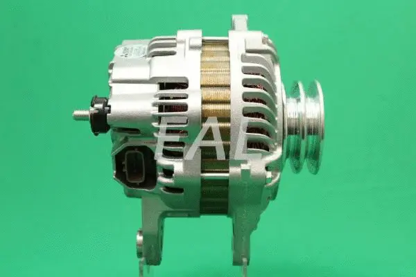 Alternateur FAL Anlasser- und Lichtmaschinenservice F012238/1