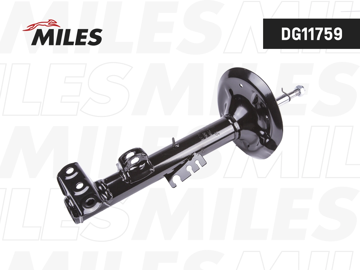 Amortisseur MILES DG11759
