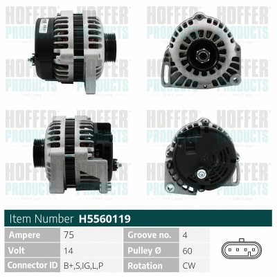 Alternateur HOFFER H5560119