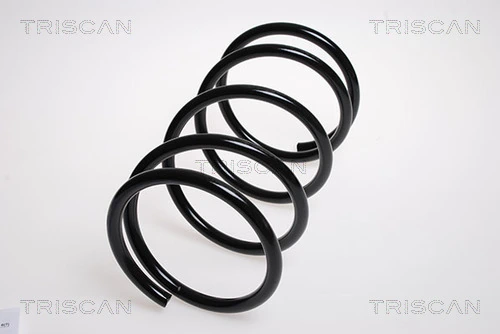 Ressort de suspension TRISCAN 8750 4257