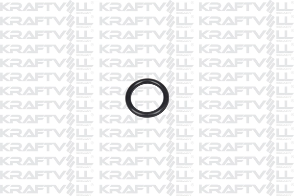 Joint, collecteur d'admission KRAFTVOLL GERMANY 10060369
