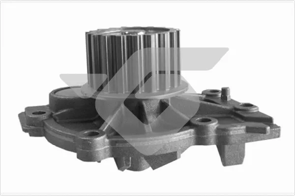 Pompe à eau, refroidissement du moteur HUTCHINSON WP196