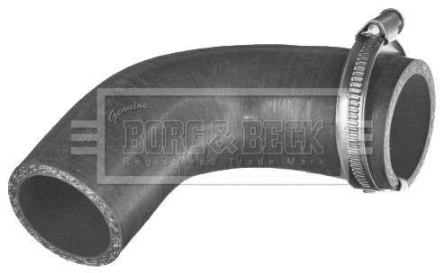 Gaine de suralimentation BORG & BECK BTH1517