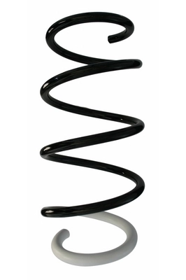 Ressort de suspension SPIDAN 87724