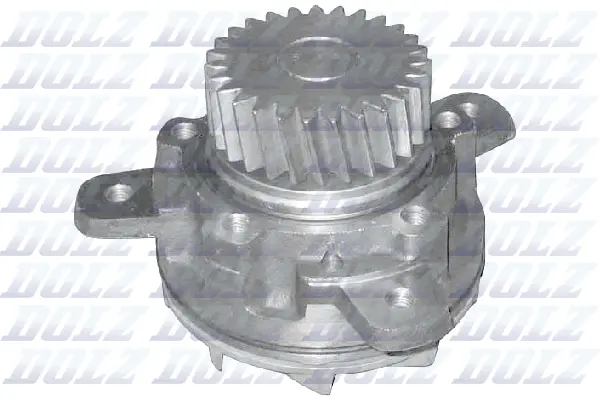 Pompe à eau, refroidissement du moteur DOLZ V207