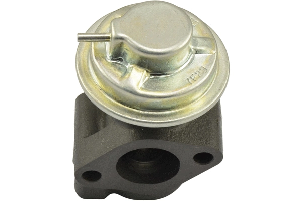 Vanne EGR KAVO PARTS EEG-3011