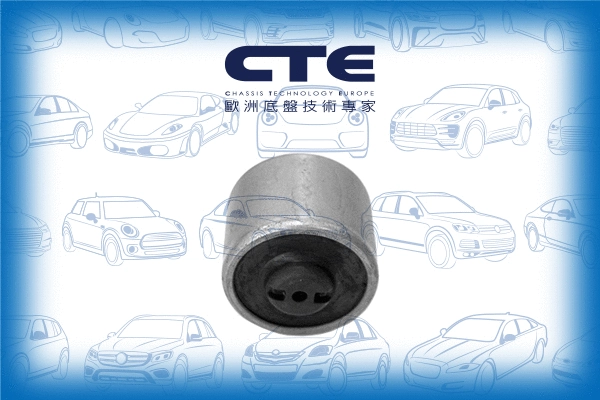 Suspension, bras de liaison CTE CBH06034