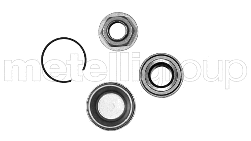 Kit de roulements de roue CIFAM 619-8109