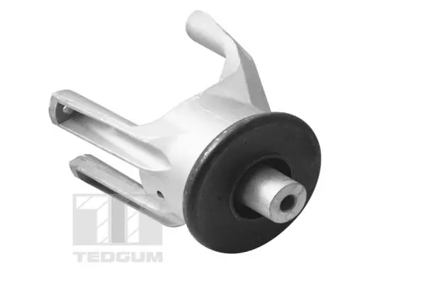 Support moteur TEDGUM 00725748