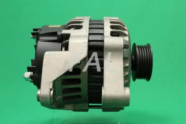 Alternateur FAL Anlasser- und Lichtmaschinenservice F001809/2