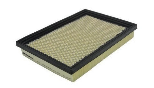 Filtre à air ACDelco Oceania ACA16