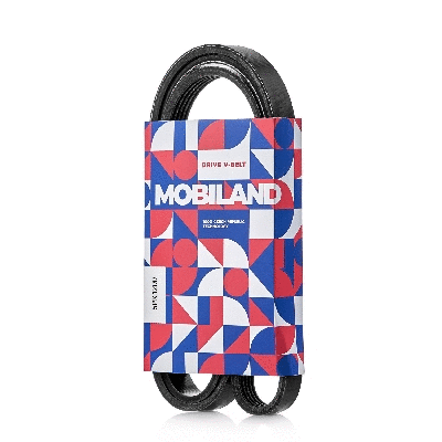 Courroie trapézoïdale à nervures MOBILAND 5PK1200