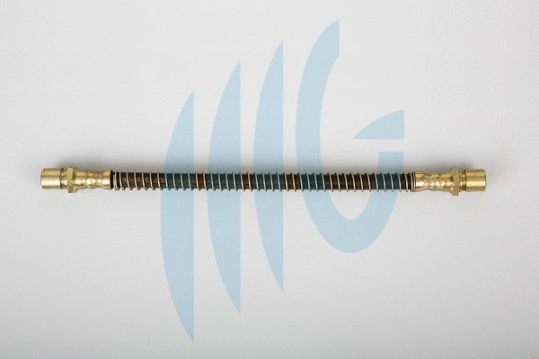Flexible de frein RICAMBIFLEX GM 02280681