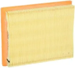 Filtre à air Fram-Au CA5496