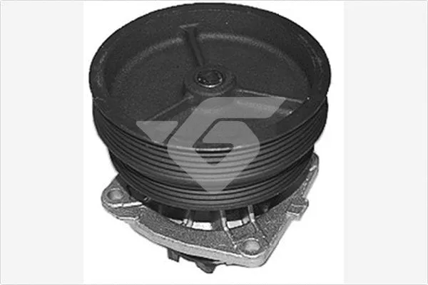 Pompe à eau, refroidissement du moteur HUTCHINSON WP172