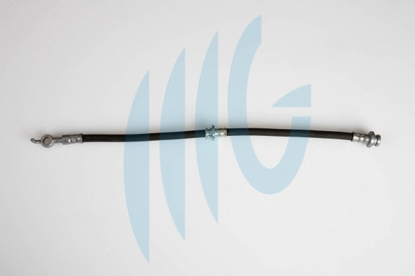 Flexible de frein RICAMBIFLEX GM 02360498