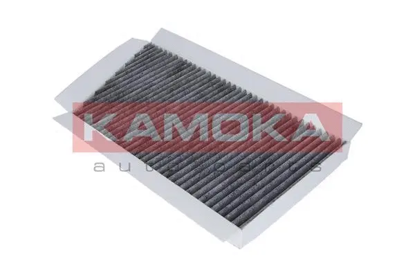Filtre, air de l'habitacle KAMOKA F502601