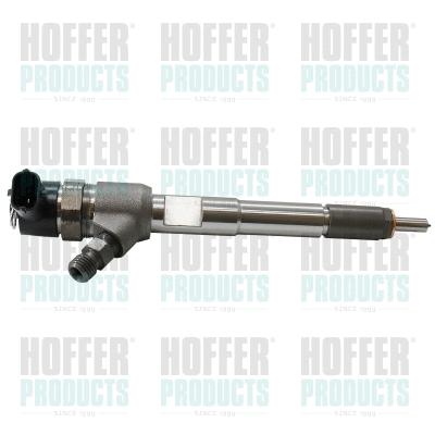 Injecteur HOFFER H74028