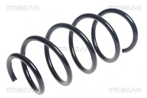 Ressort de suspension TRISCAN 8750 24192