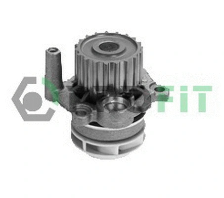 Pompe à eau, refroidissement du moteur PROFIT 1701-0731