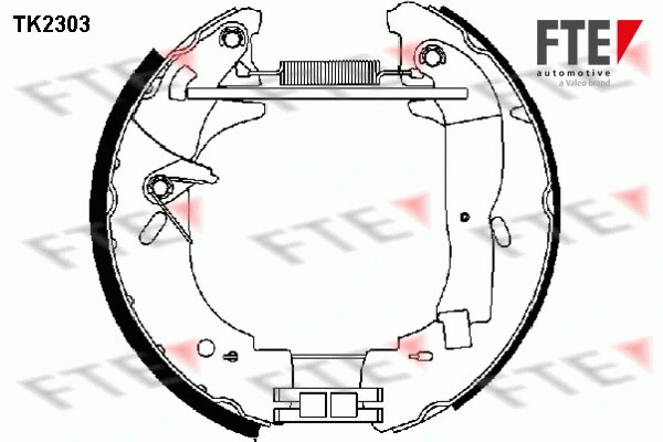 Jeu de mâchoires de frein FTE 9110025