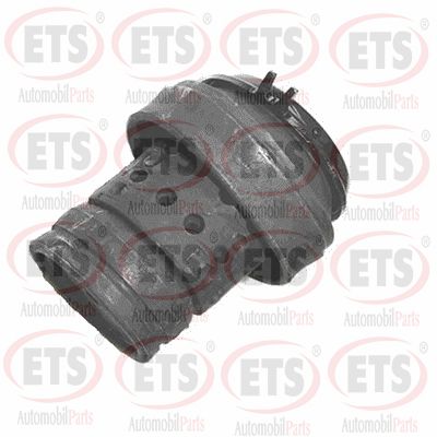 Support moteur ETS 31.EM.875