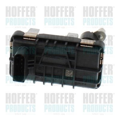 Détendeur de suralimentation HOFFER 6200017