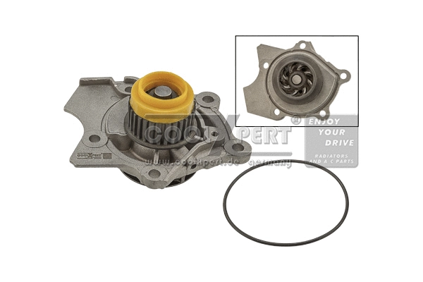 Pompe à eau, refroidissement du moteur BBR Automotive 001-10-22873