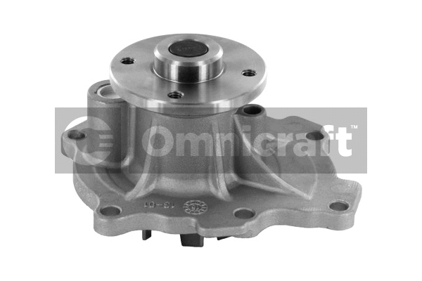 Pompe à eau, refroidissement du moteur Omnicraft 2317286