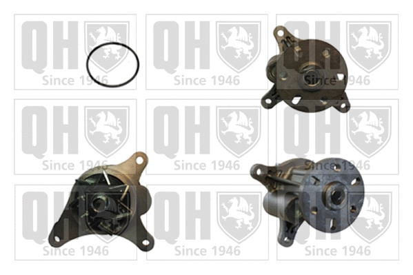 Pompe à eau, refroidissement du moteur QUINTON HAZELL QCP3796